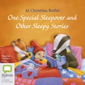 One Special Sleepover: And Other Sleepy Stories
