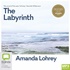 The Labyrinth (MP3)