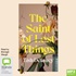 The Saint of Lost Things (MP3)