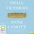Small Victories: Spotting Improbable Moments of Grace (MP3)
