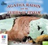 Agatha Raisin and the Fairies of Fryfam (MP3)