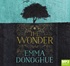 The Wonder (MP3)