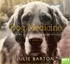 Dog Medicine: How My Dog Saved Me From Myself (MP3)
