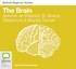 The Brain (MP3)