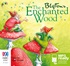 The Enchanted Wood (MP3)