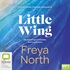 Little Wing (MP3)
